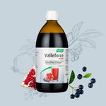 A. Vogel - Valleforce Berry (500 ml)